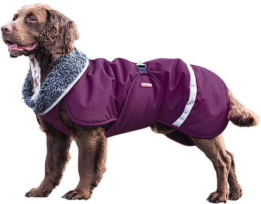 Waterproof dog coats outlet for winter